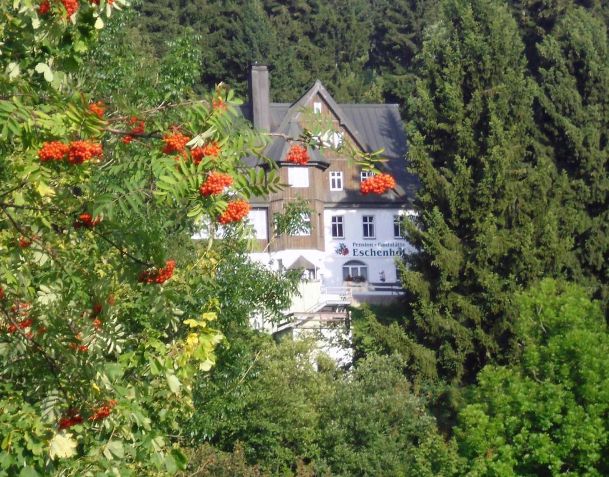 Pension Und Gaststaette Naturbaude Eschenhof Hotel Oberwiesenthal Exterior photo